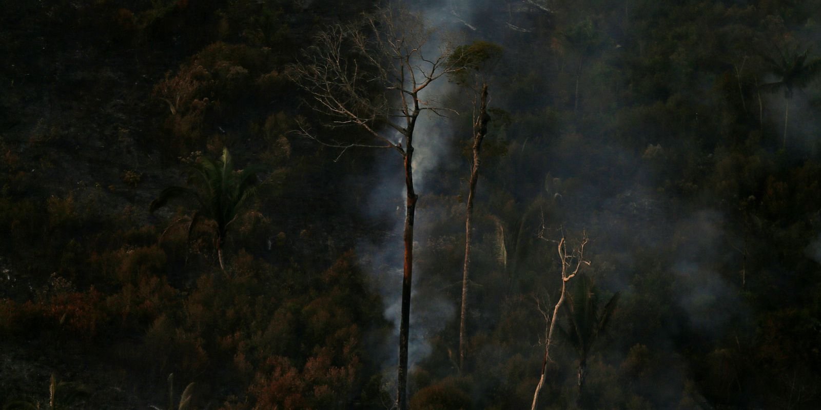 País teve 2,15 milhões de hectares queimados no primeiro semestre