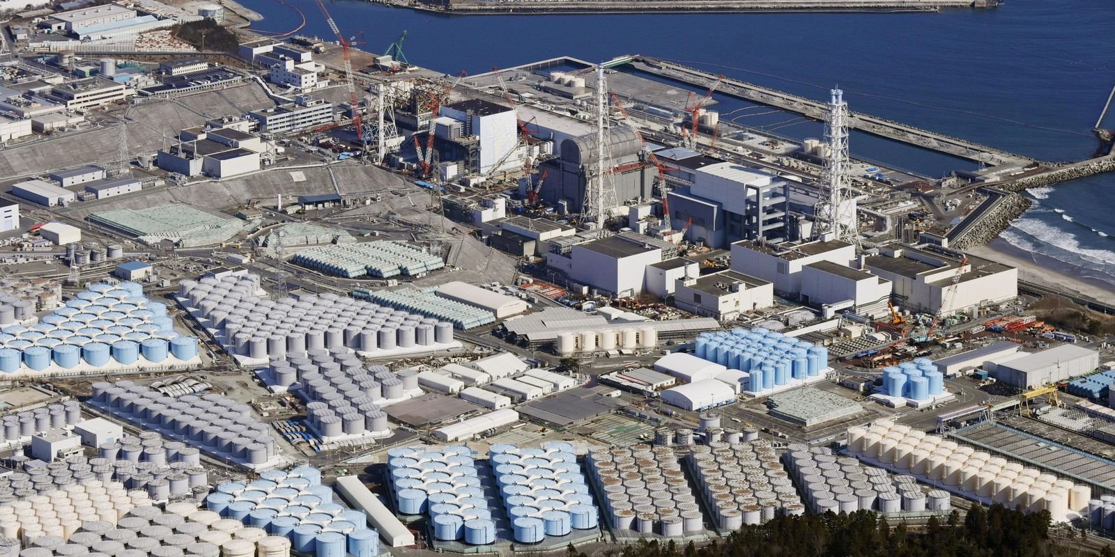 Cientistas testam peixes coletados próximo à usina de Fukushima
