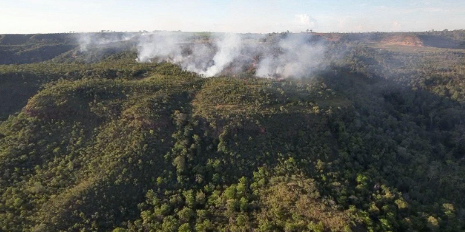 Incêndio atinge divisa do Santuário de Elefantes em Mato Grosso