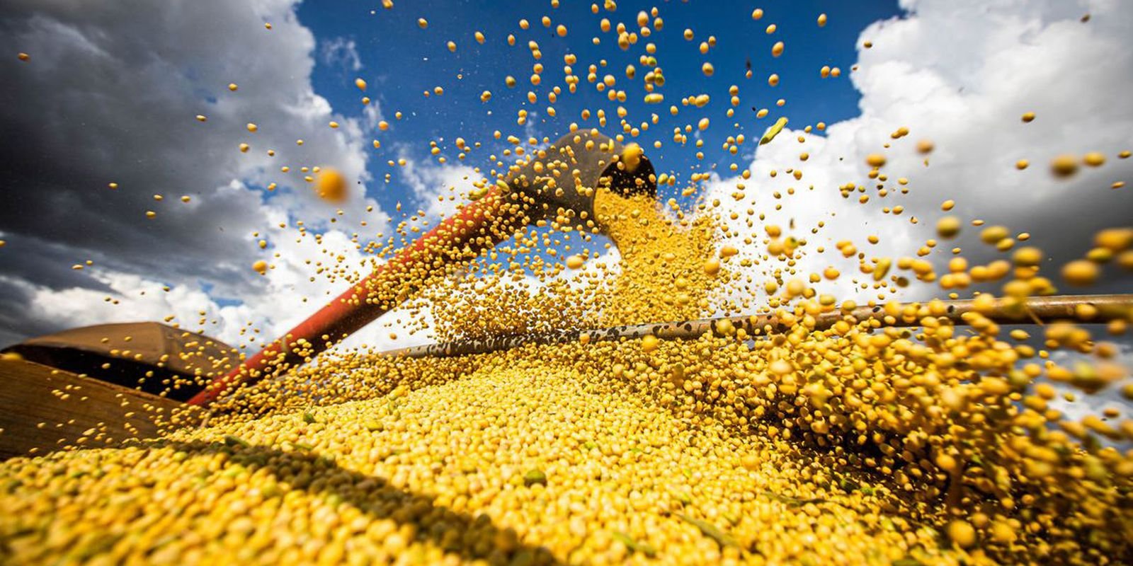 Importação de soja do Brasil pela China cresce 29%